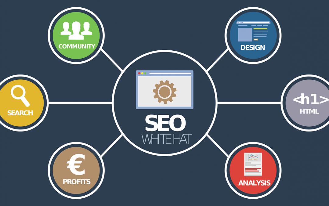 Why Is Seo Important For Your Business?